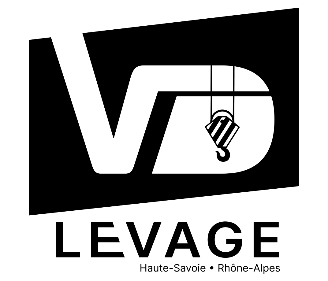 logo vd levage